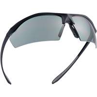 Sentinel Ballistic Protection Safety Glasses, Smoke Lens, Anti-Fog/Anti-Scratch/Polarized, ANSI Z87+ Advanced Consulting and Training Ltd.