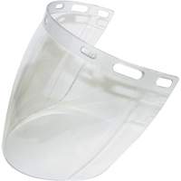 Visi&egrave;re 2CL, Polycarbonate, Teinte Transparent Advanced Consulting and Training Ltd.