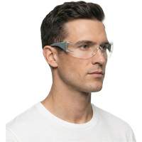 Adapt Lite Grey/Green Safety Glasses, Clear Lens, Anti-Fog/Anti-Scratch, ANSI Z87+/Meets/Exceeds CSA Z94.3 Advanced Consulting and Training Ltd.
