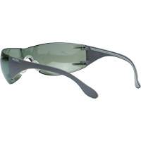 Adapt Lite Safety Glasses, Indoor/Outdoor Lens, Anti-Fog/Anti-Scratch, ANSI Z87+/Meets/Exceeds CSA Z94.3 Advanced Consulting and Training Ltd.