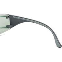 Adapt Lite Safety Glasses, Indoor/Outdoor Lens, Anti-Fog/Anti-Scratch, ANSI Z87+/Meets/Exceeds CSA Z94.3 Advanced Consulting and Training Ltd.