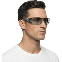 Adapt Lite Safety Glasses, Indoor/Outdoor Lens, Anti-Fog/Anti-Scratch, ANSI Z87+/Meets/Exceeds CSA Z94.3 Advanced Consulting and Training Ltd.