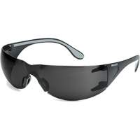 Adapt Lite Safety Glasses, Smoke Lens, Anti-Fog/Anti-Scratch, ANSI Z87+/Meets/Exceeds CSA Z94.3 Advanced Consulting and Training Ltd.