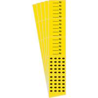 Marqueurs de tuyau PSI, Autocollant, 2-1/4" h x 2-3/4" la, Noir sur jaune Advanced Consulting and Training Ltd.