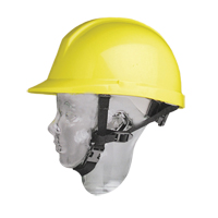 North&reg; Hardhat Chinstrap Advanced Consulting and Training Ltd.