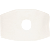 Respiratory Cartridge and Filters