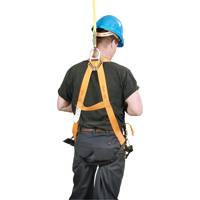 Miller&reg; Titan Contractor's Harnesses, CSA Certified, Class AP, 400 lbs. Cap. Advanced Consulting and Training Ltd.