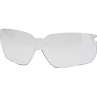 Replacement Lens