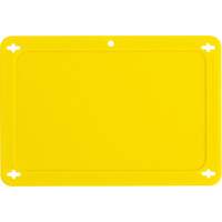 Blank Valve Tag, Plastic, 4-3/4" W x 3-1/4" H Advanced Consulting and Training Ltd.