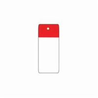 Scaffold Safety Tags, Polyester, 4" W x 7" H, English Advanced Consulting and Training Ltd.
