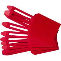Blank Plastic Lock-On Tags, Plastic, 3-1/4" W x 5-4/5" H, Blank Advanced Consulting and Training Ltd.