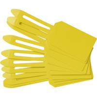 Blank Plastic Lock-On Tags, Plastic, 3-1/4" W x 5-4/5" H, Blank Advanced Consulting and Training Ltd.