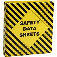 SDS Binder Advanced Consulting and Training Ltd.