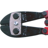 Coupe-boulons de cat&eacute;gorie industrielle, Coupe centrale Advanced Consulting and Training Ltd.
