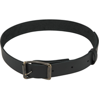 General-Purpose Belt, Leather, Black Advanced Consulting and Training Ltd.