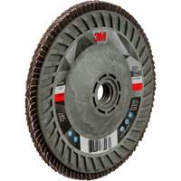 769F Quick Change Flap Disc, 5" x 5/8"-11, Type 29, 120+ Grit, Ceramic Advanced Consulting and Training Ltd.