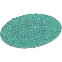Disque adh&eacute;sif Roloc Green Corps, 2" dia., Grain 80, Oxyde d'aluminium Advanced Consulting and Training Ltd.
