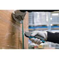 SECUPRO 425 Safety Knife with Rounded-Tip Trapezoid Blade, 15 mm, Plastic Handle Advanced Consulting and Training Ltd.
