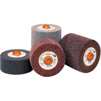 Tambour pour la pr&eacute;paration de surfaces Blendex Advanced Consulting and Training Ltd.