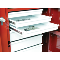 Rolling Work Bench, 49-7/8" W x 40-5/8" H x 26-7/8" D, 24.6 Cubic Feet Capacity Advanced Consulting and Training Ltd.