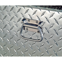 R&eacute;servoir de transfert pour carburant & coffre en aluminium, Aluminium, Capacit&eacute; 74 gal., Argent Advanced Consulting and Training Ltd.