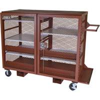 Armoire mobile en treillis, Acier, 49 pi³, Rouge Advanced Consulting and Training Ltd.