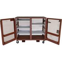 Armoire mobile en treillis, Acier, 49 pi³, Rouge Advanced Consulting and Training Ltd.