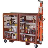Armoire mobile en treillis, Acier, 49 pi³, Rouge Advanced Consulting and Training Ltd.