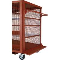 Armoire mobile en treillis, Acier, 37 pi³, Rouge Advanced Consulting and Training Ltd.