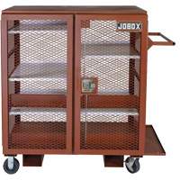 Armoire mobile en treillis, Acier, 37 pi³, Rouge Advanced Consulting and Training Ltd.