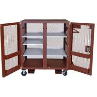 Armoire mobile en treillis, Acier, 37 pi³, Rouge Advanced Consulting and Training Ltd.