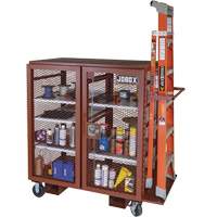 Armoire mobile en treillis, Acier, 37 pi³, Rouge Advanced Consulting and Training Ltd.