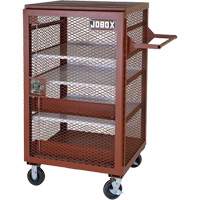 Armoire mobile en treillis, Acier, 22 pi³, Rouge Advanced Consulting and Training Ltd.