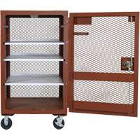 Armoire mobile en treillis, Acier, 22 pi³, Rouge Advanced Consulting and Training Ltd.