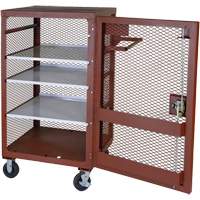 Armoire mobile en treillis, Acier, 22 pi³, Rouge Advanced Consulting and Training Ltd.