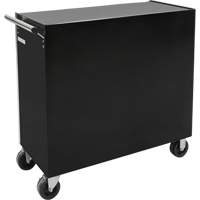 Industrial Tool Cart, 11 Drawers, 41" W x 18-3/4" D x 39-1/3" H, Black Advanced Consulting and Training Ltd.