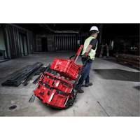 Packout 2-Wheel Cart Advanced Consulting and Training Ltd.