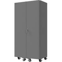 Armoire mobile vide Advanced Consulting and Training Ltd.