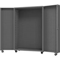 Armoire mobile vide Advanced Consulting and Training Ltd.