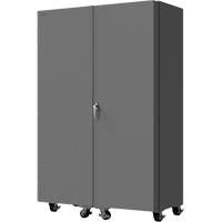 Armoire mobile vide Advanced Consulting and Training Ltd.