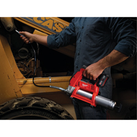 Ensemble pistolets graisseurs M12, Lithium-ion, 12 V Advanced Consulting and Training Ltd.