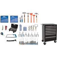 Ensemble d'outils interm&eacute;diaires avec coffre en acier, 112 morceaux Advanced Consulting and Training Ltd.