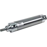Cylindres pneumatiques non r&eacute;parables Round Line Advanced Consulting and Training Ltd.