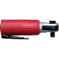 Mini cl&eacute;s &agrave; rochet, Prise de 3/8", 1/4" NPT, 12,5 pi³/min Advanced Consulting and Training Ltd.