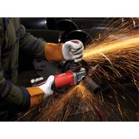Meuleuse avec interrupteur &agrave; palette sans verrou, 6", 120 V, 13 A, 9000 Tr/min Advanced Consulting and Training Ltd.