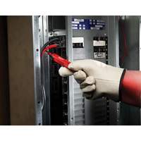 D&eacute;tecteur de tension, 50 - 1000 V, Alerte Son Advanced Consulting and Training Ltd.