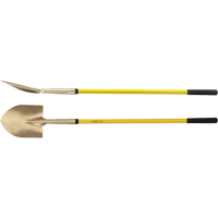 Shovels & Scoops Advanced Consulting and Training Ltd.