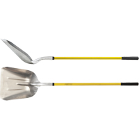 Shovels & Scoops Advanced Consulting and Training Ltd.
