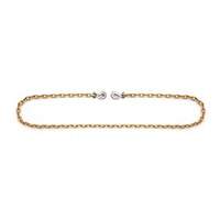 Binder Chain with Clevis Grab Hooks Advanced Consulting and Training Ltd.