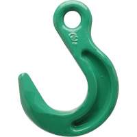 Cam-Alloy&reg; Eye Foundry Hook Advanced Consulting and Training Ltd.